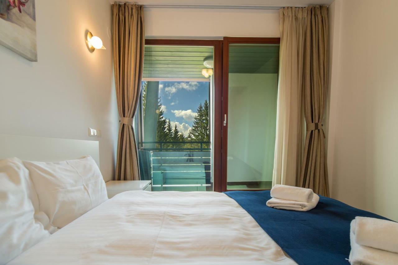 Family Apartment In Silver Mountain Resort Пояна-Брашов Экстерьер фото